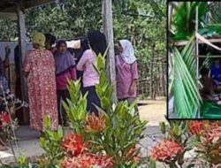 Main Rumah-rumahan di Belakang Sekolah, 14 Anak Berusia 7 Tahun Ini Lakukan Adegan Malam Pertama