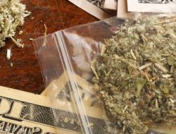 Satresnarkoba menggagalkan penyelundupan ganja kering 137 kilogram disita