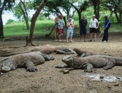 Mentri Pariwisata Sandiaga berunding Tarif Taman Nasional Komodo